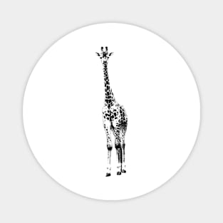 Giraffe pop art Magnet